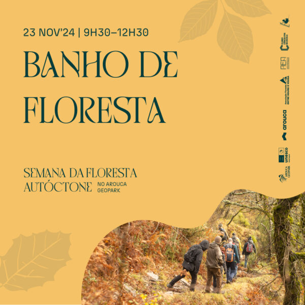 Banho de Floresta