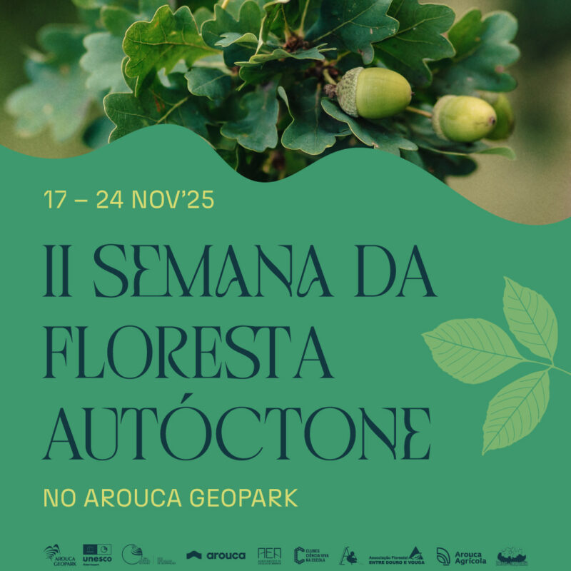 II Semana da Floresta Autóctone do Arouca Geopark promove conhecimento e valorização das florestas nativas