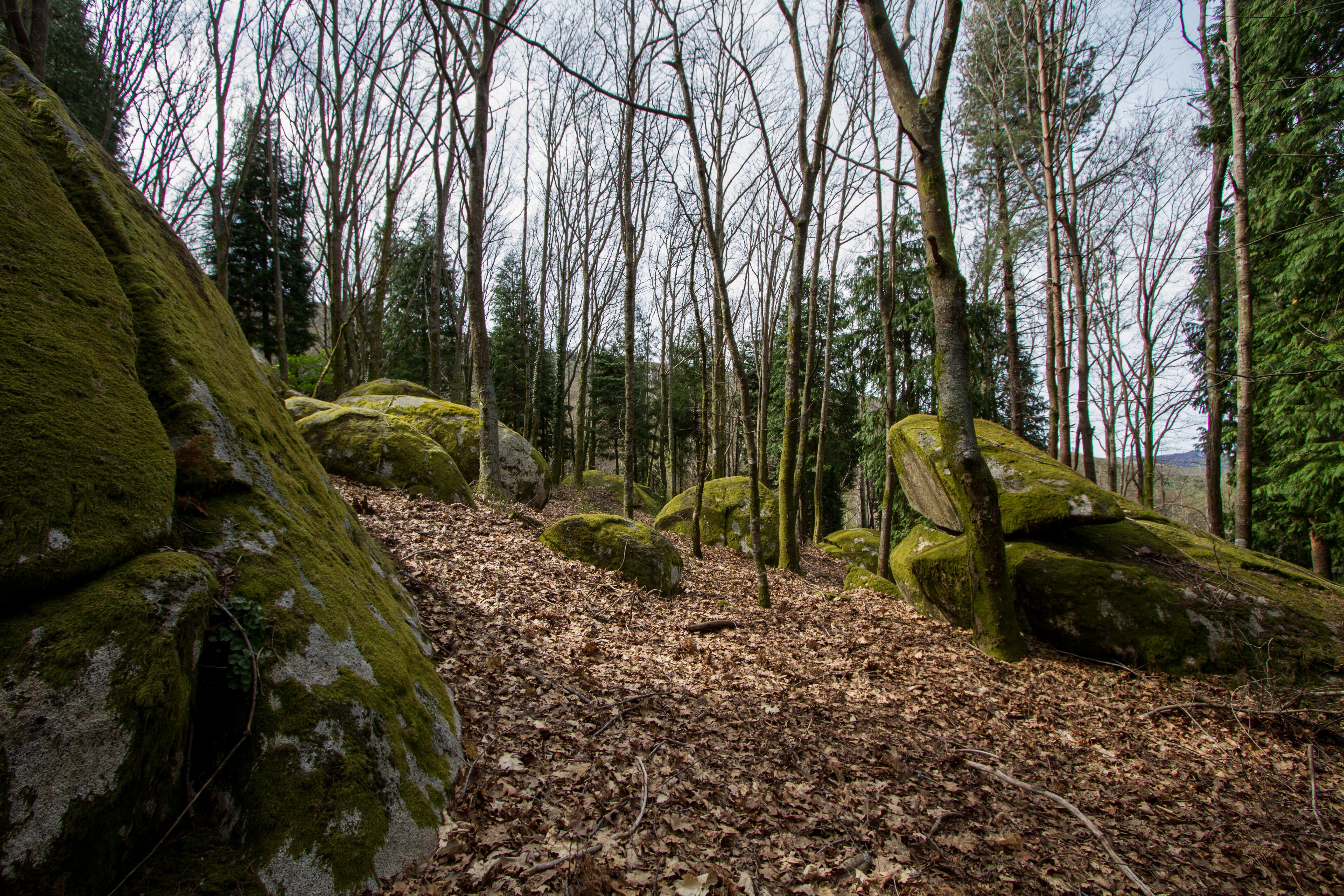 Bolas quarzodioríticas dos Viveiros da Granja (Pedras Cebolas)