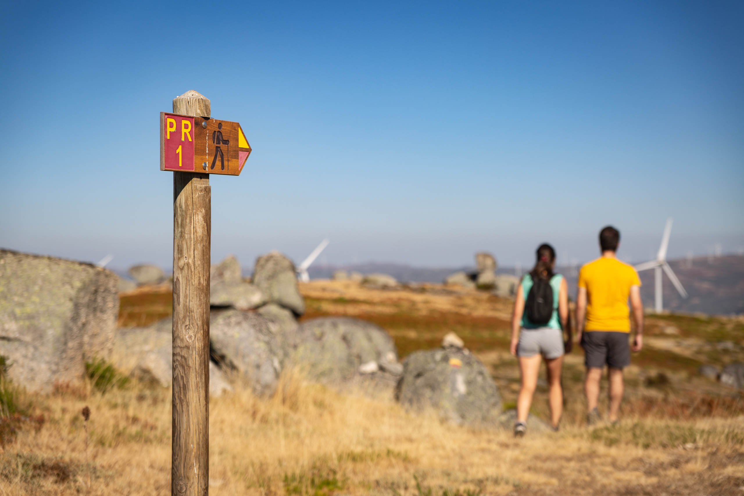 Caminhos de Montemuro