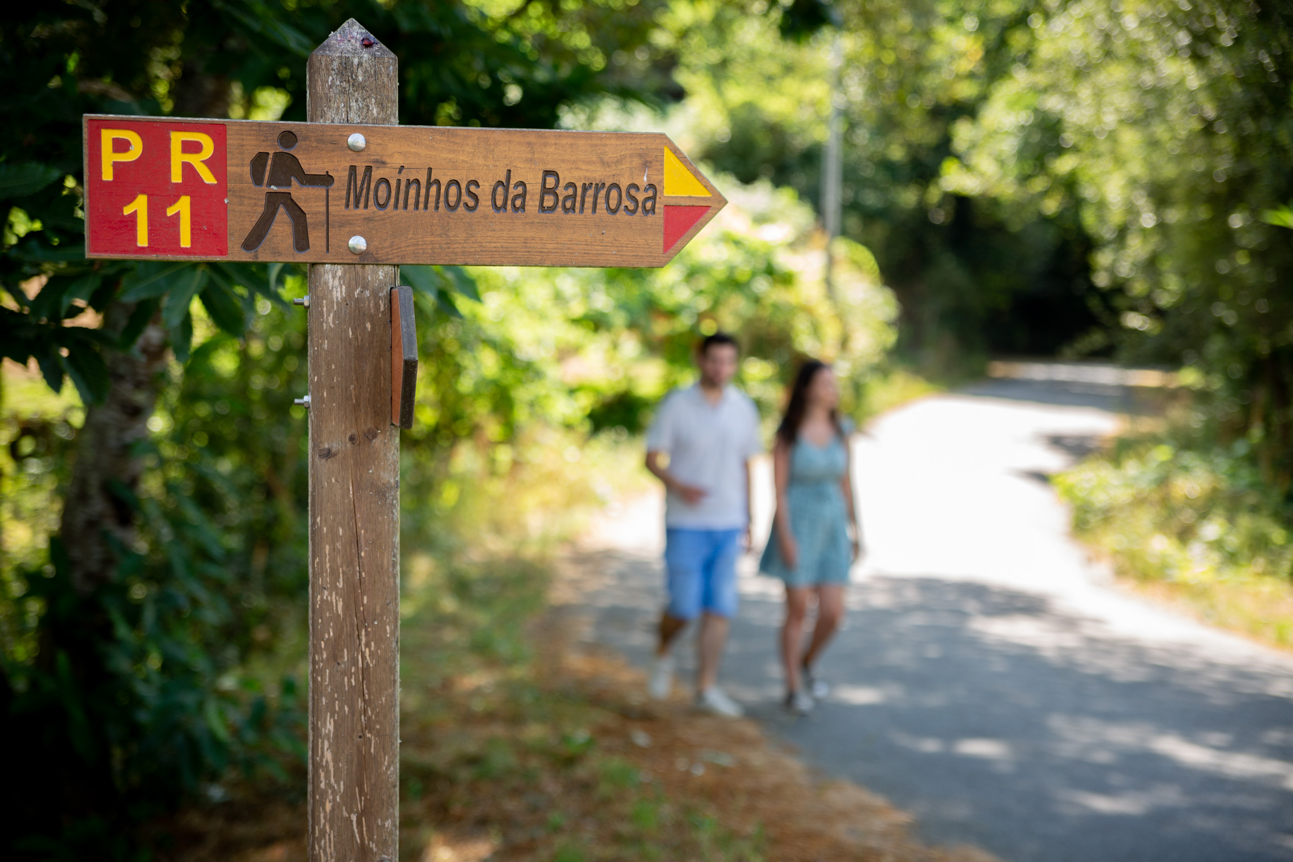 Moinhos da Barrosa