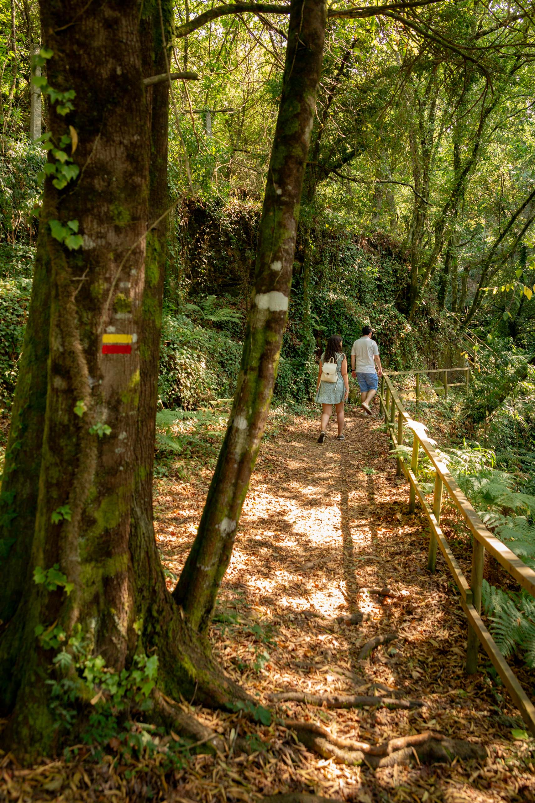 Moinhos da Barrosa