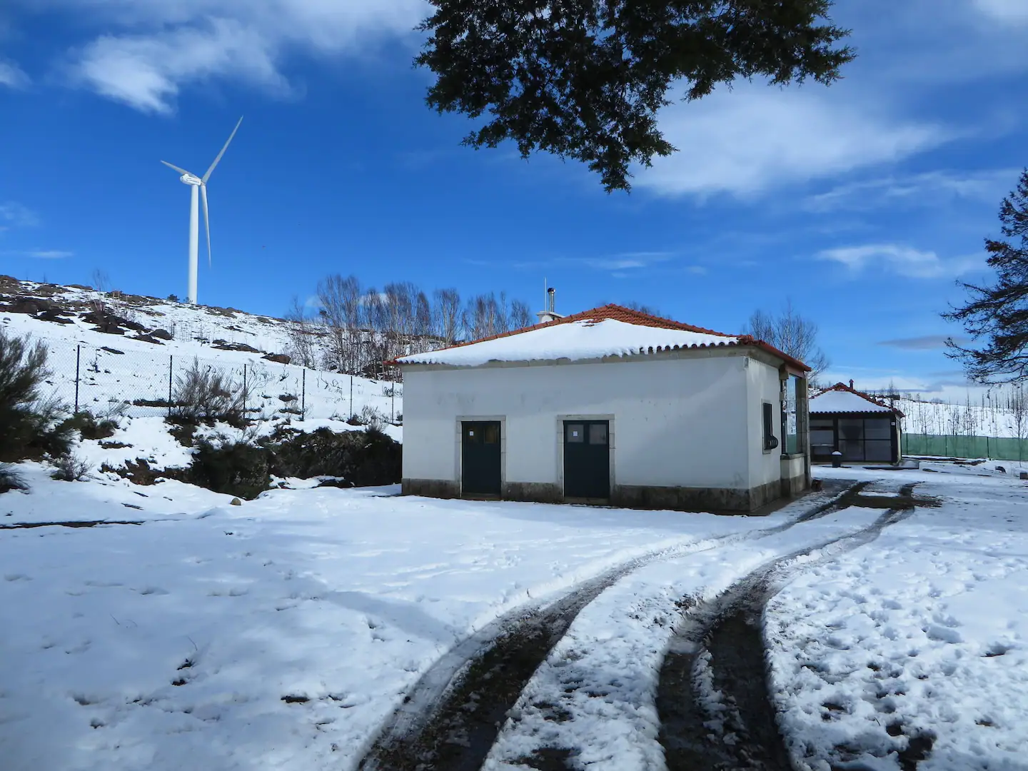 Casa do Vidoeiro