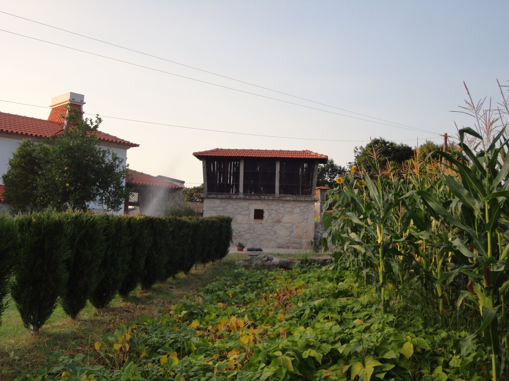 Quinta da Laranjeira