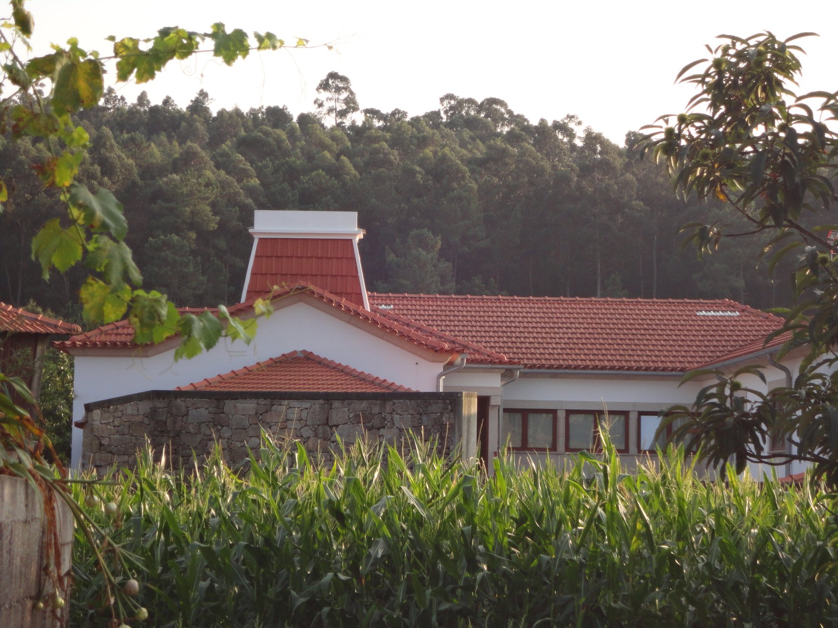 Quinta da Laranjeira