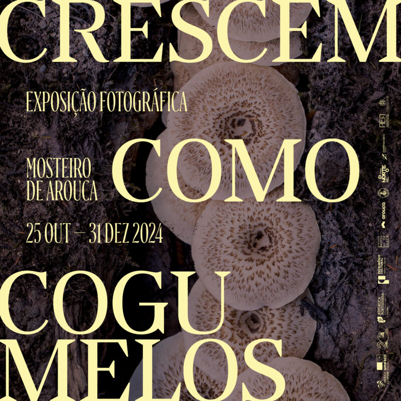 Exposição «Crescem como cogumelos!»