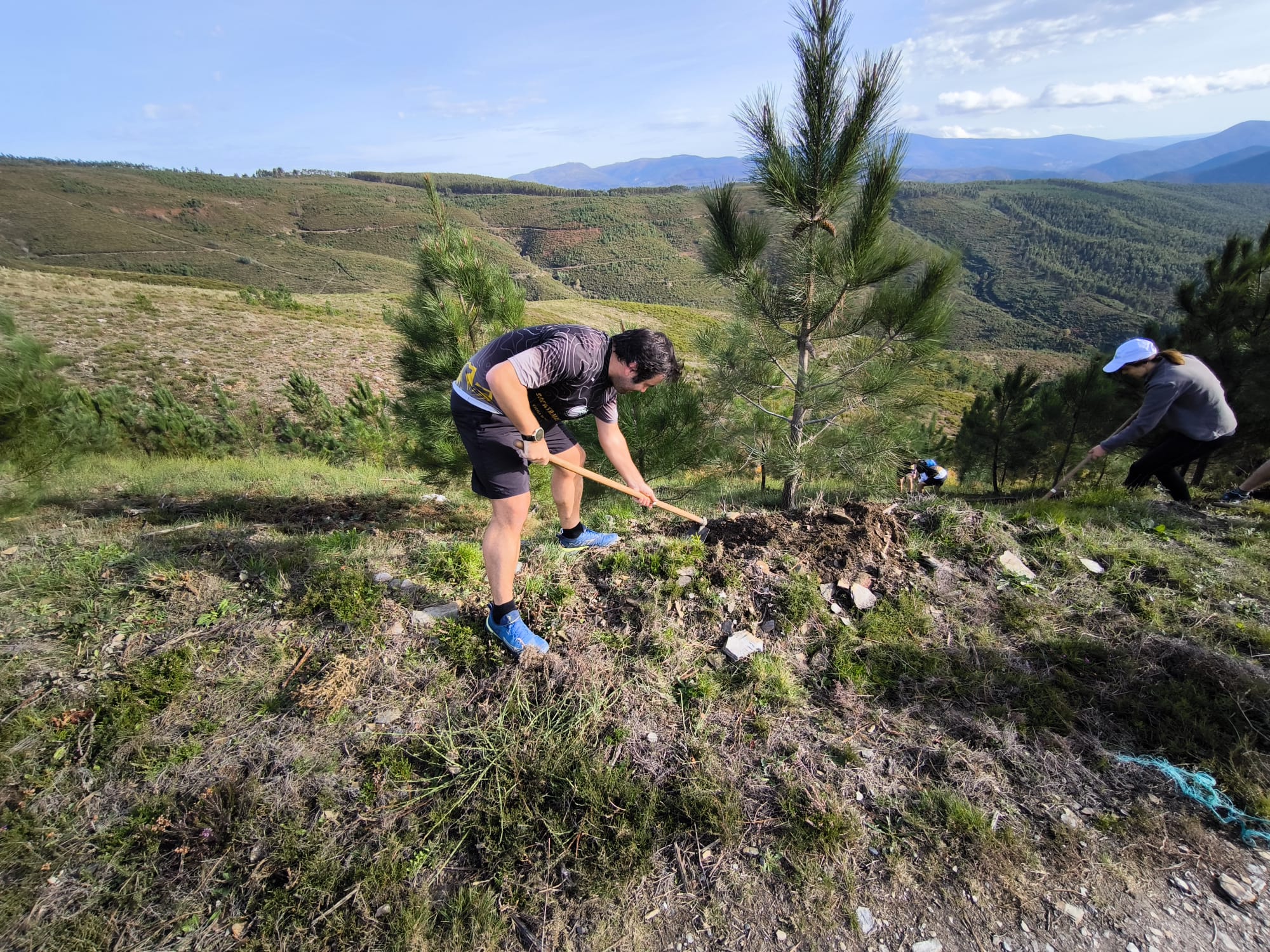 Plantação Sapatilhas Verdes