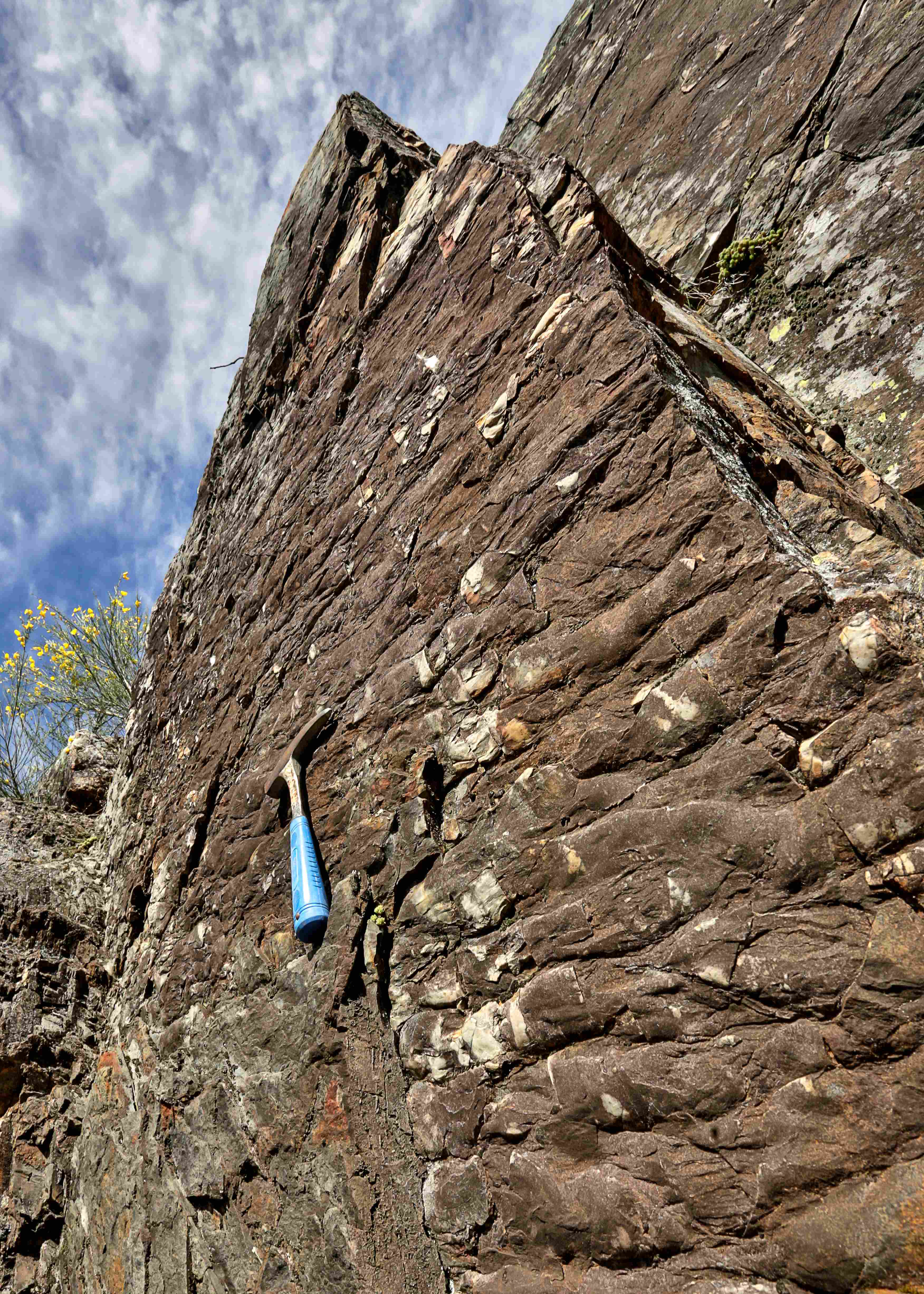 Icnofosseis de Vila Cova ©Avelino Vieira