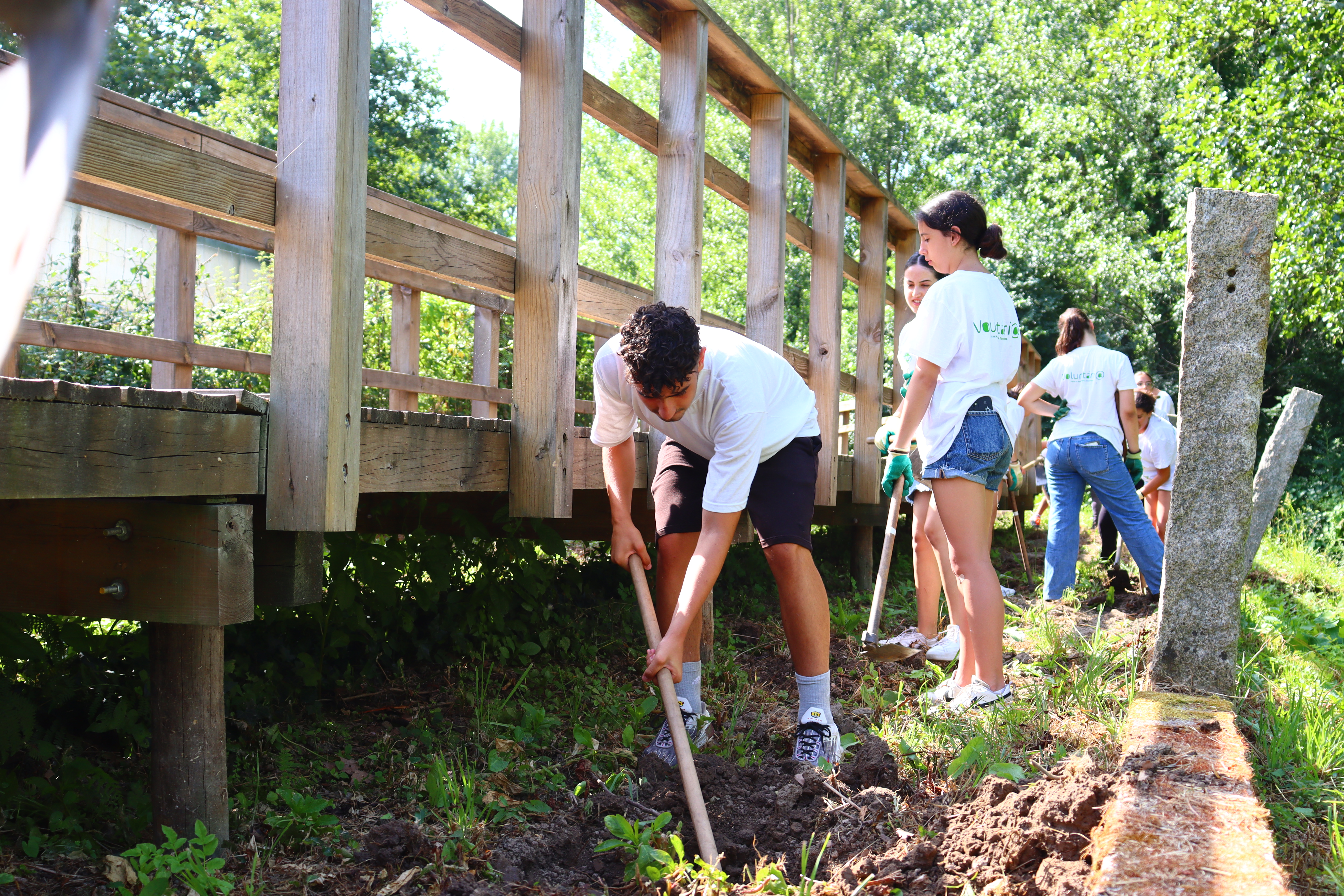 Voluntariado Jovem