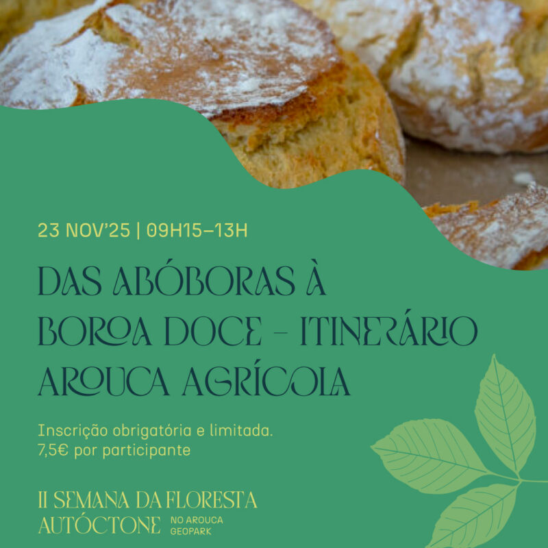 Itinerário Arouca Agrícola | Das abóboras à boroa doce