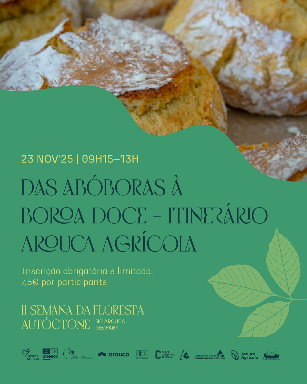 Individuais-II-Semana-Floresta-Autoctone-Post-03