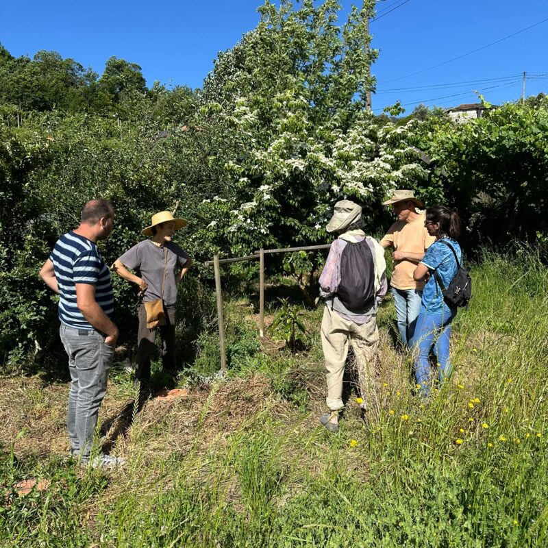 Itinerário Arouca Agrícola | Visita à Quinta do Souto