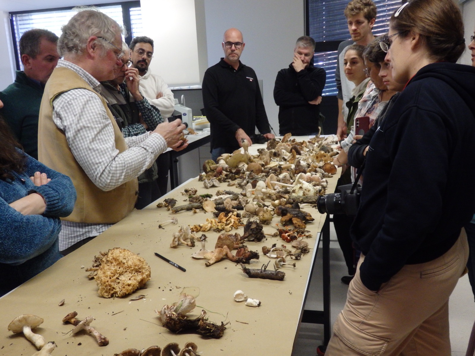 Grupo laboratorio_Carminda Santos