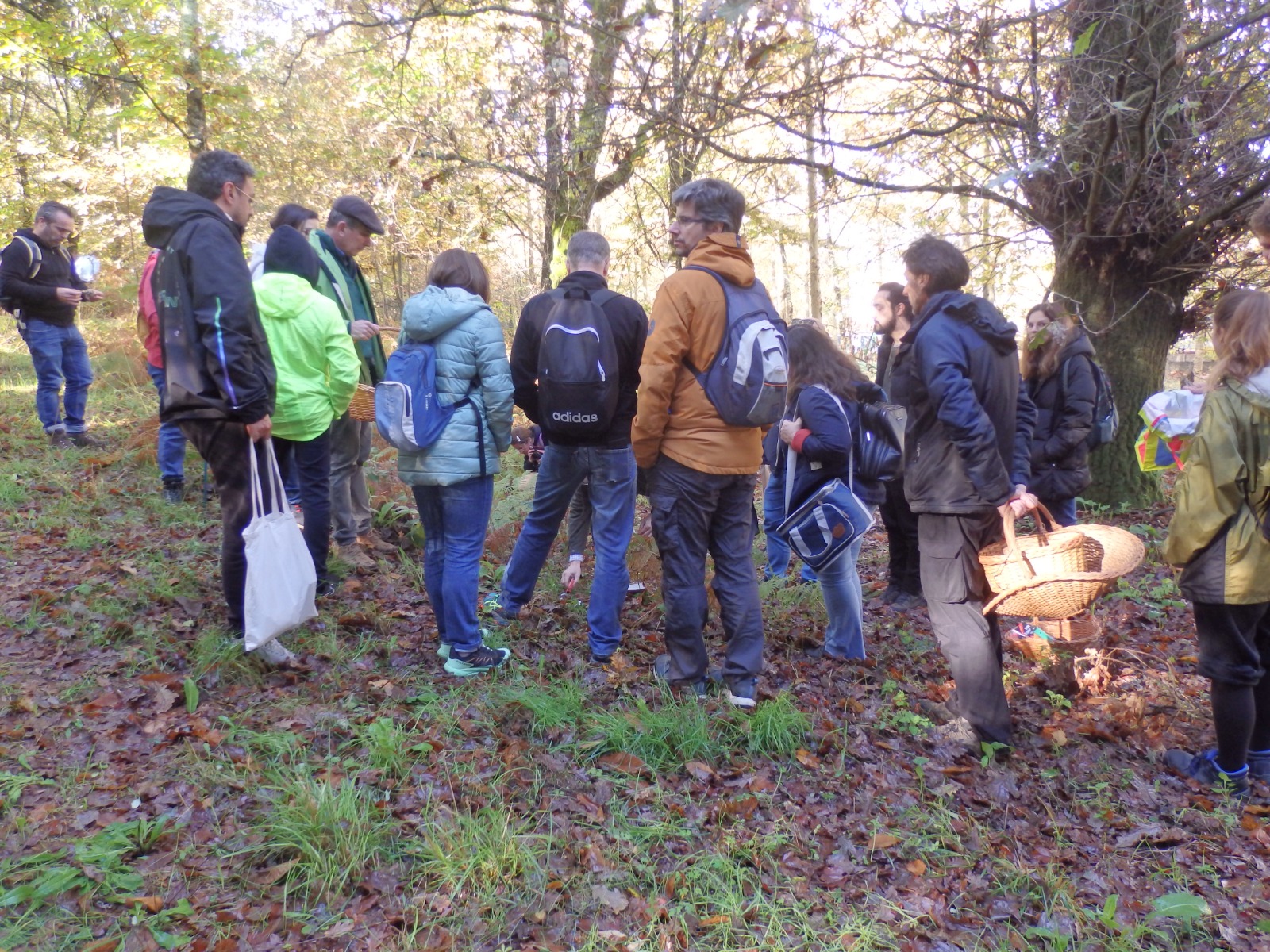 Grupo2 Carminda Santos