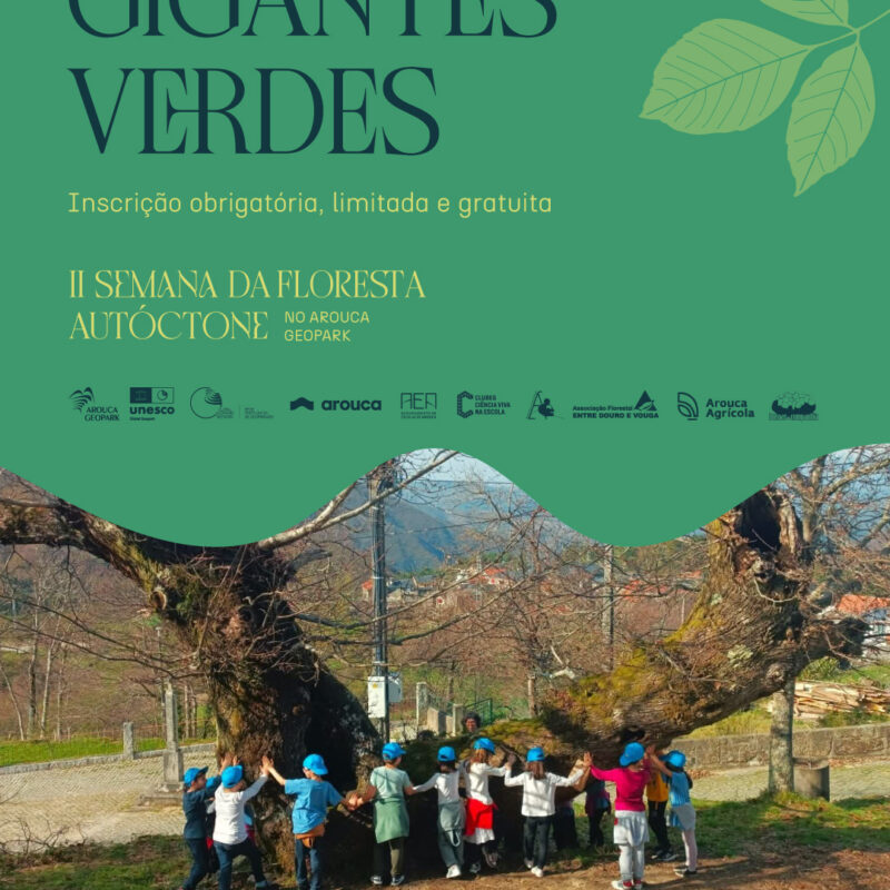 Caminhada Interpretada “Gigantes Verdes”