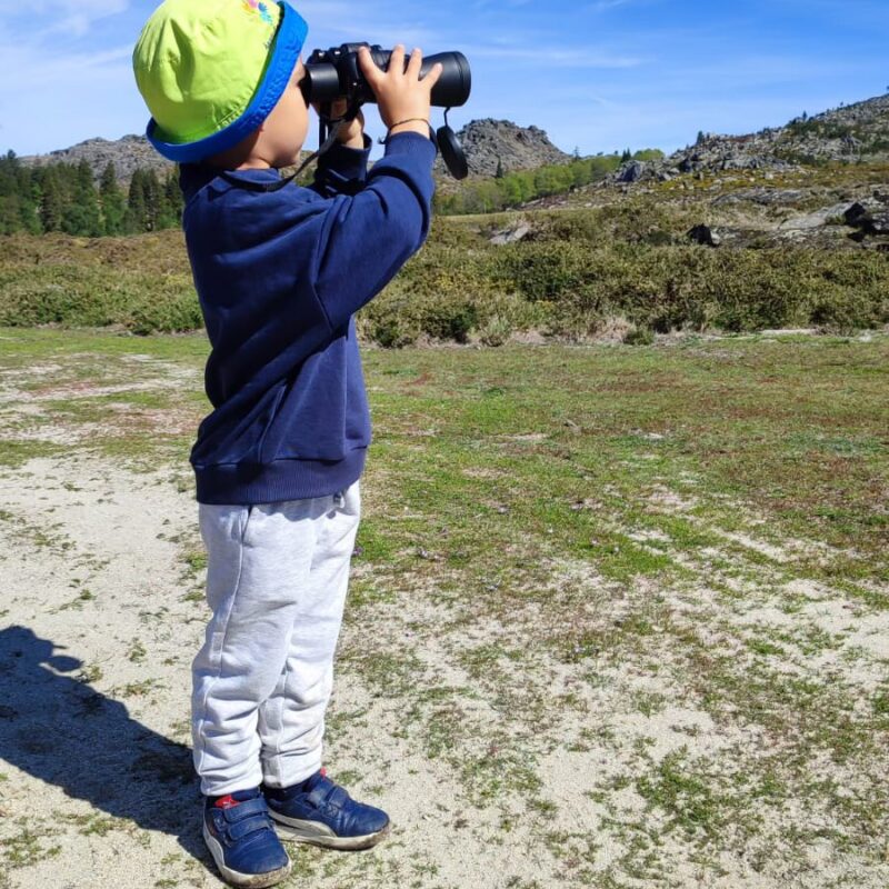 Projeto “Ilustra a tua escola” promove a valorização da biodiversidade no Arouca Geopark